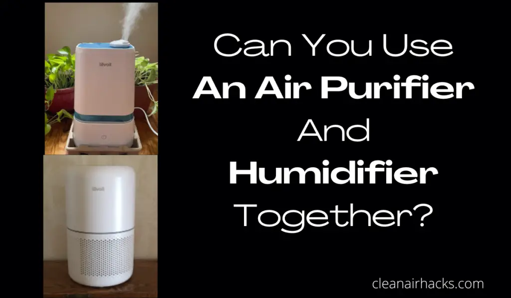 Can you use an air purifier and humidifier together?