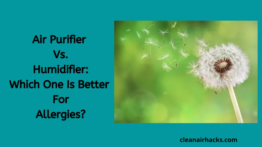air purifier vs. humidifier