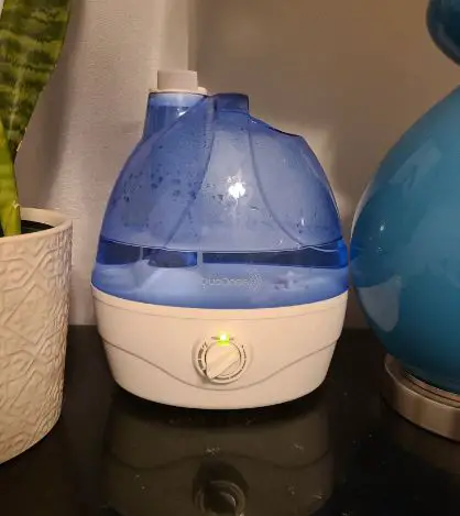 pink mold in humidifier