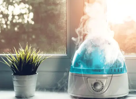 can a humidifier cause mold?