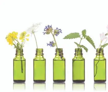 amomatherapy essential oil