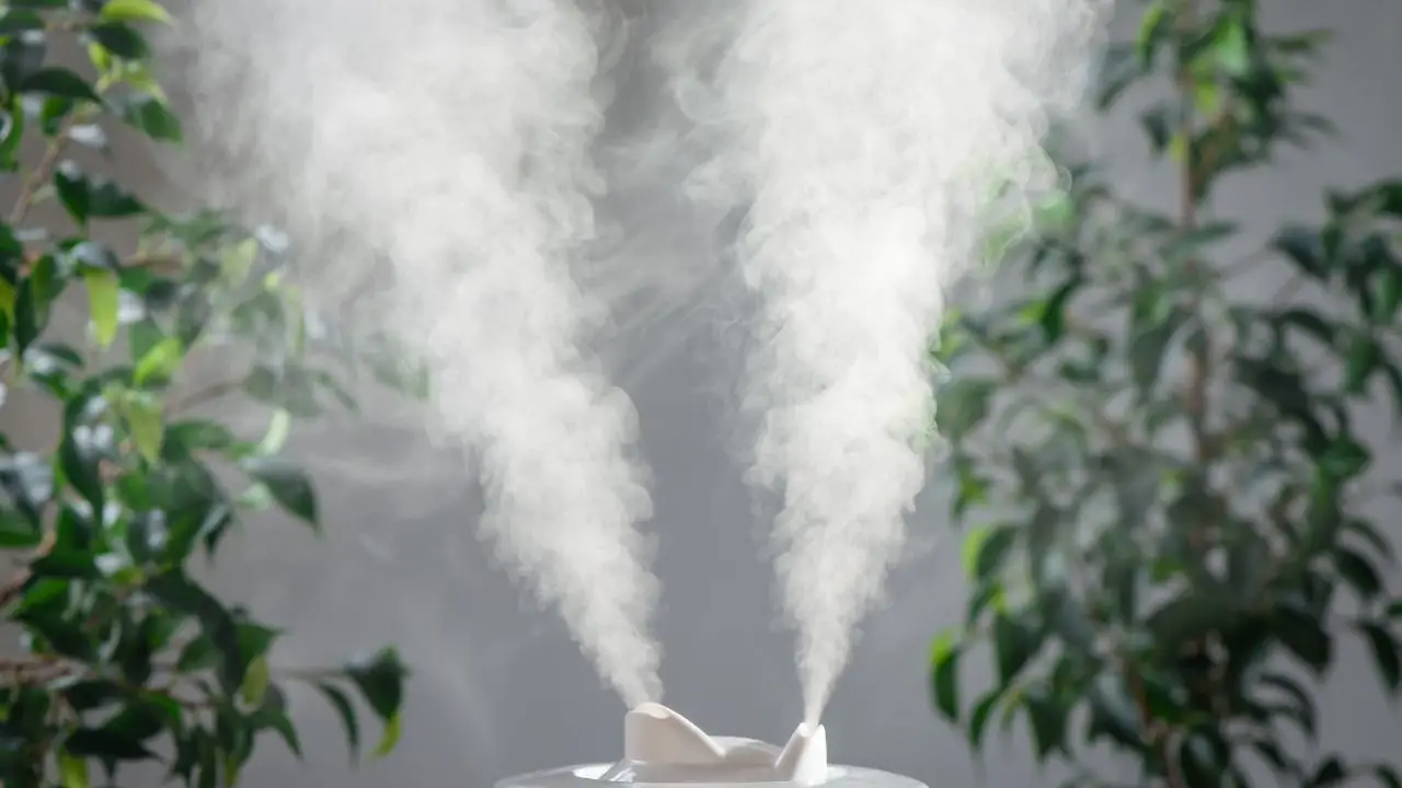 best humidifier for Colorado