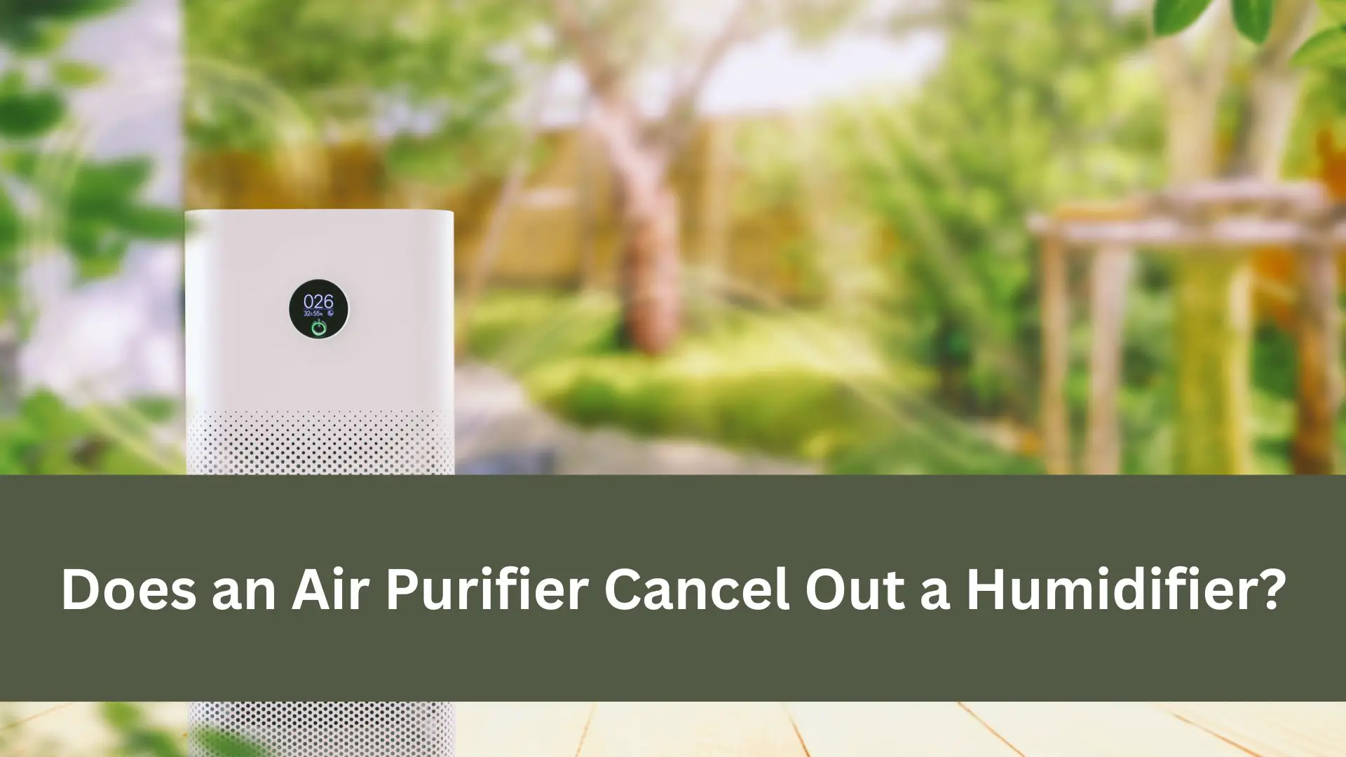 Does an Air Purifier Cancel Out a Humidifier