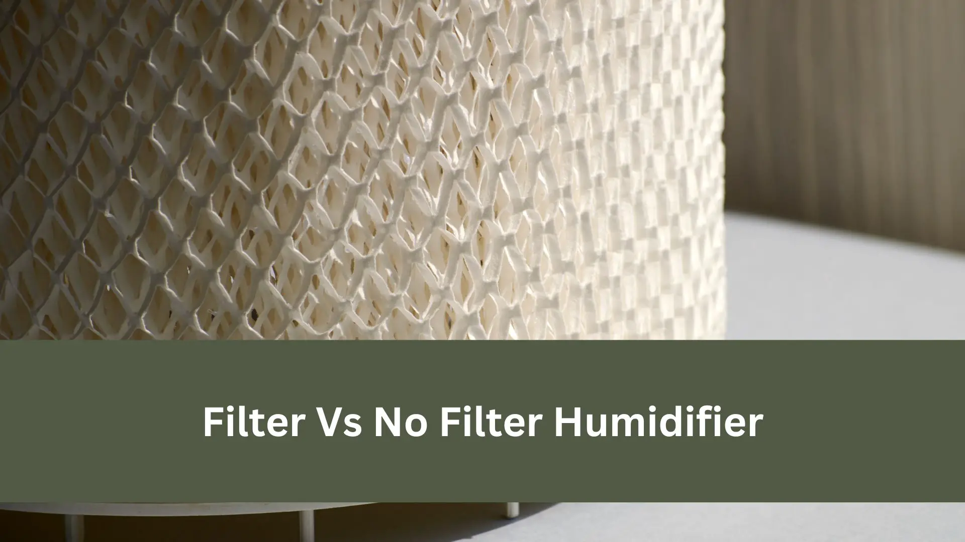 Filter Vs No Filter Humidifier