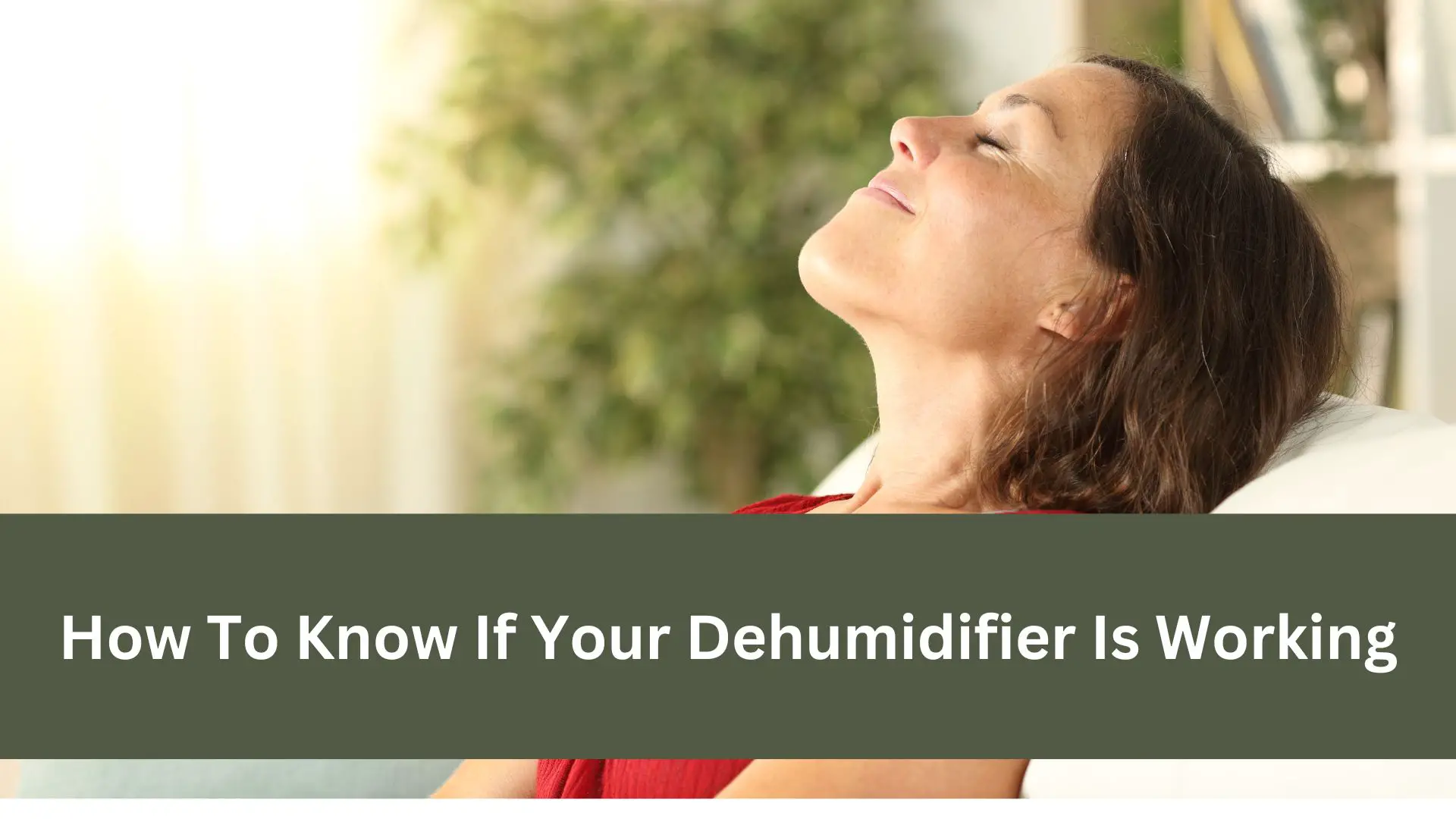 How To Know If Your Dehumidifier Is Working
